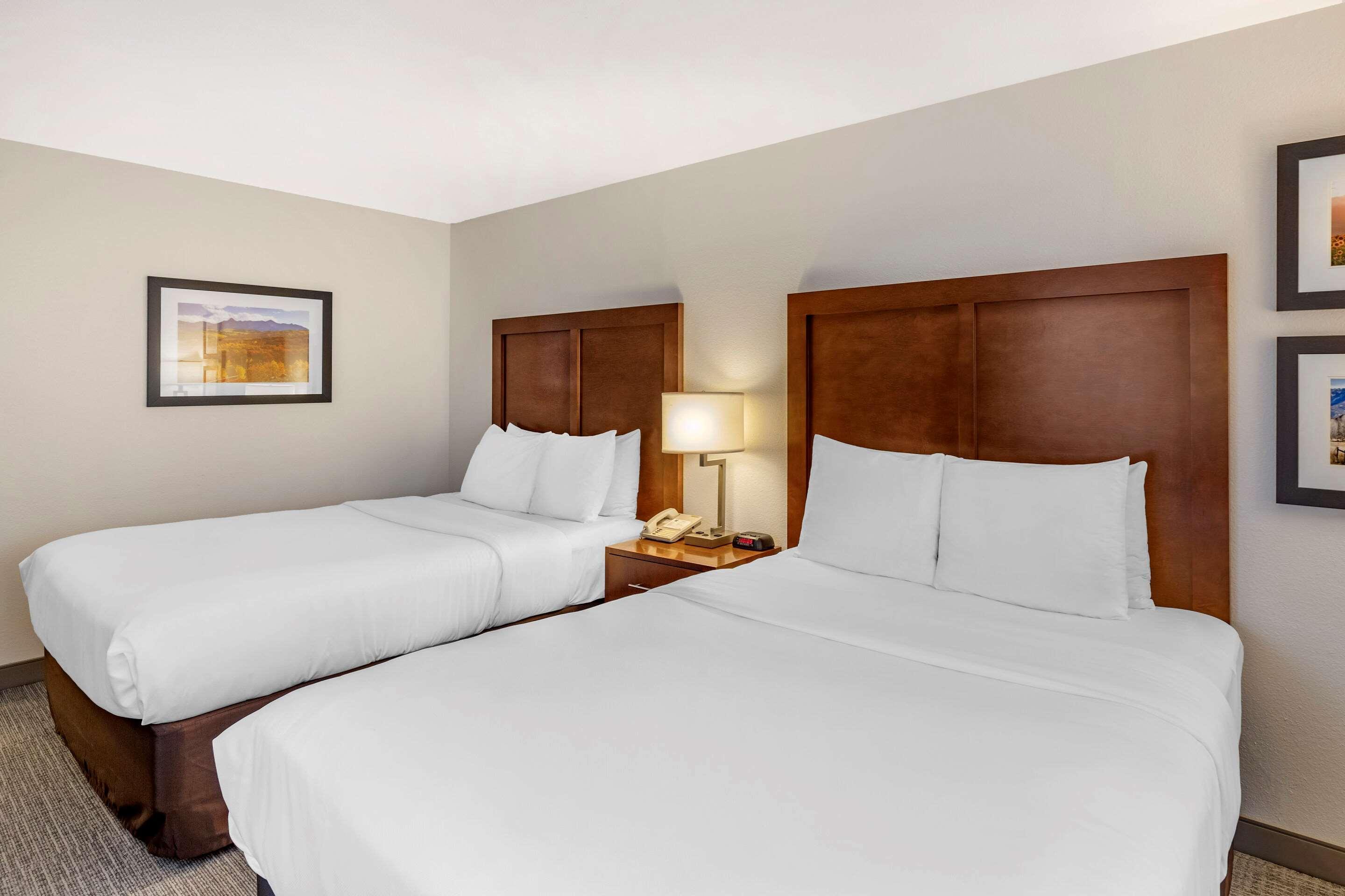 Comfort Inn & Suites Carbondale On The Roaring Fork Kültér fotó
