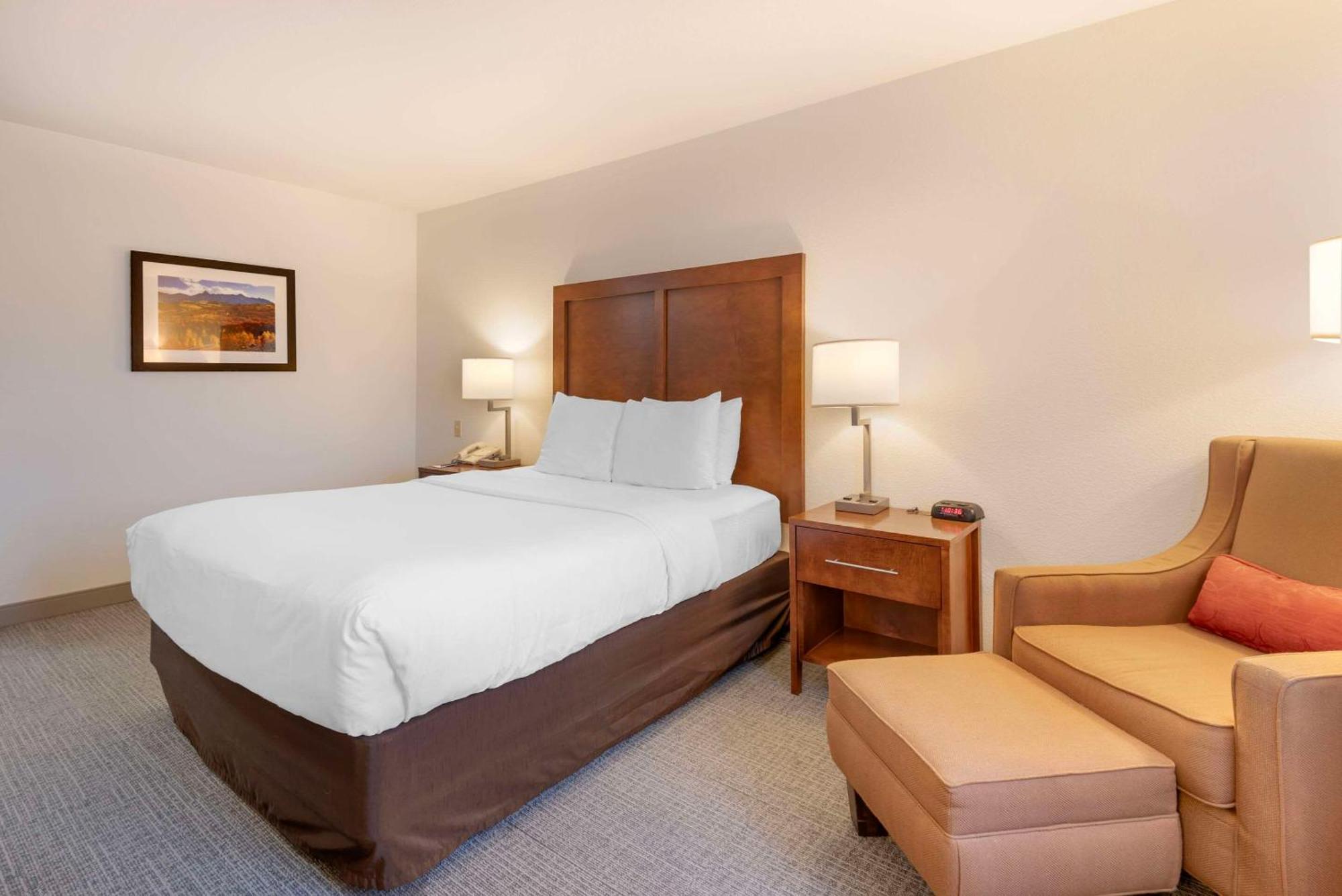 Comfort Inn & Suites Carbondale On The Roaring Fork Kültér fotó